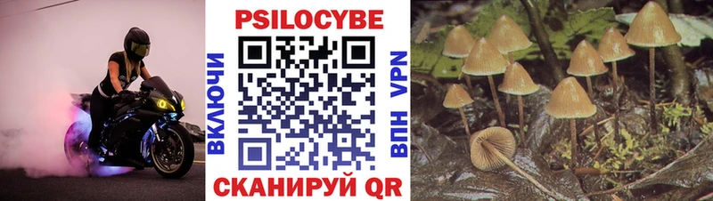 Купить где  Томск  Галлюциногенные грибы GOLDEN TEACHER 